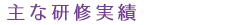 主な研修実績